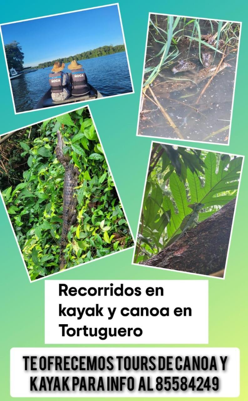 Apartamentos Caiman Tortuguero Luaran gambar